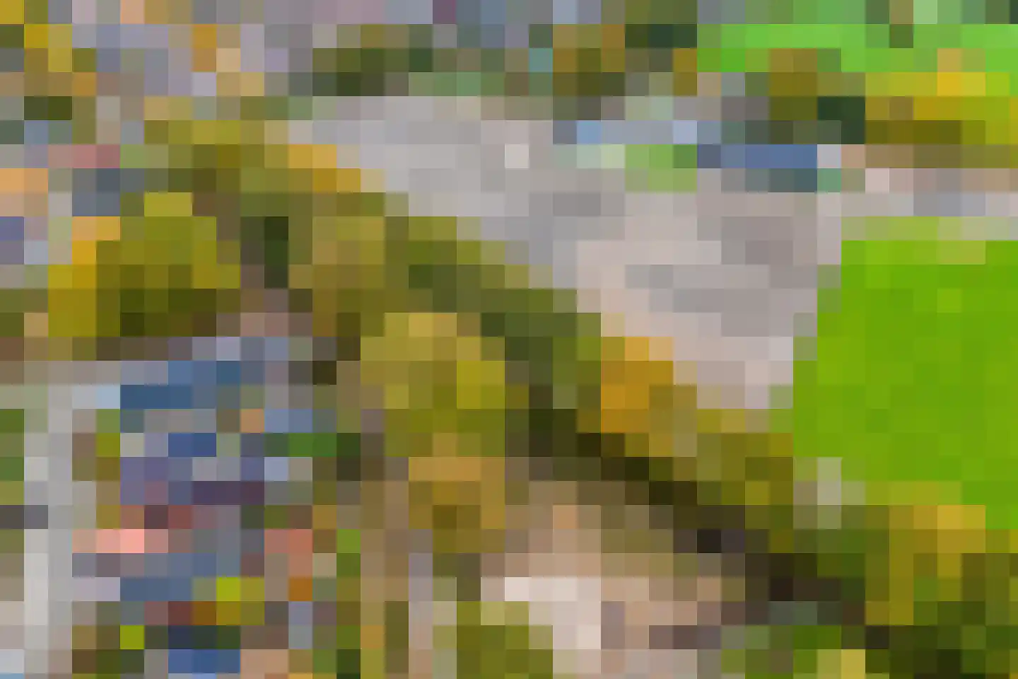 Roelf Bosmastraat 211 Rijssen thumbnail 53