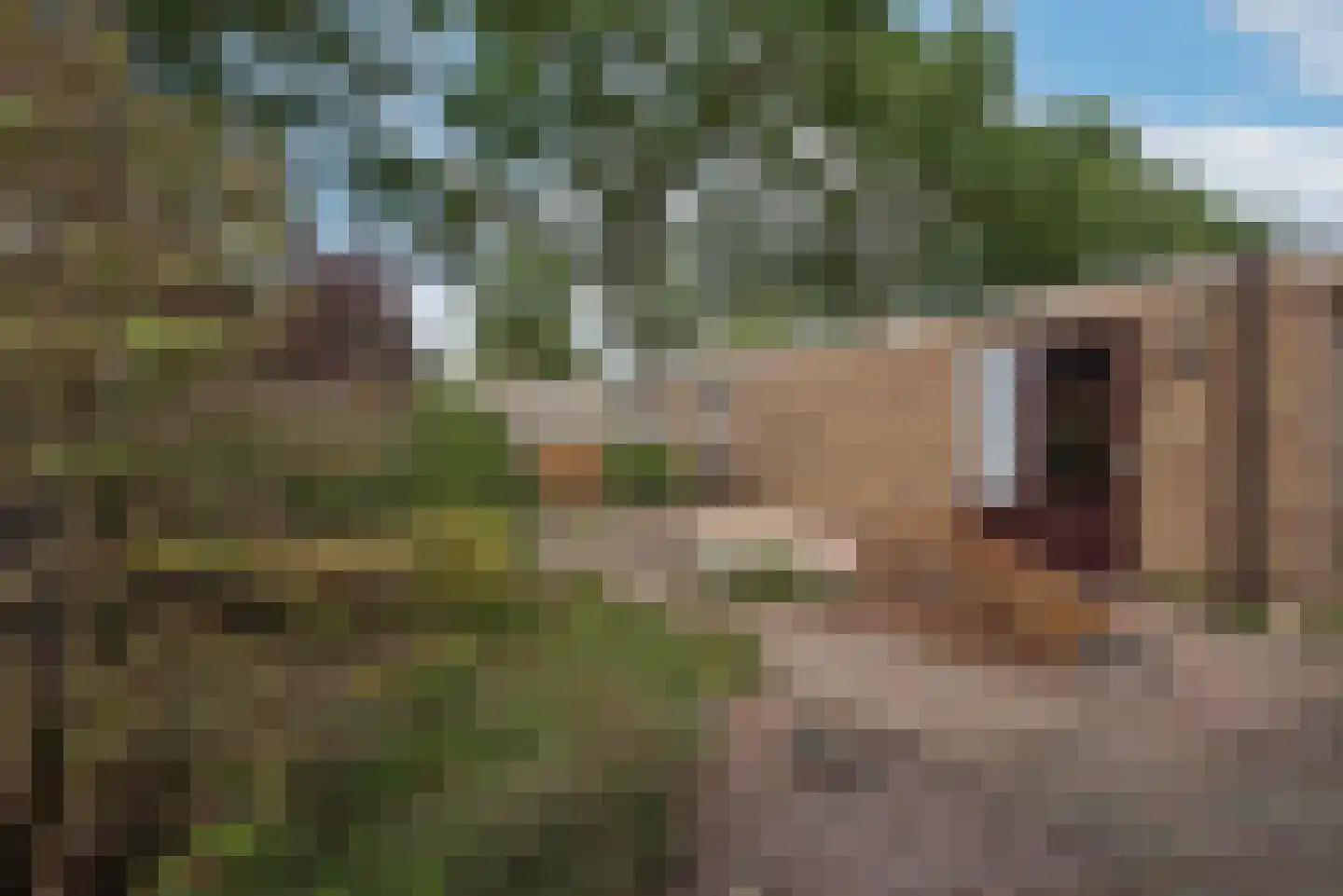 Roelf Bosmastraat 3 Rijssen thumbnail 28
