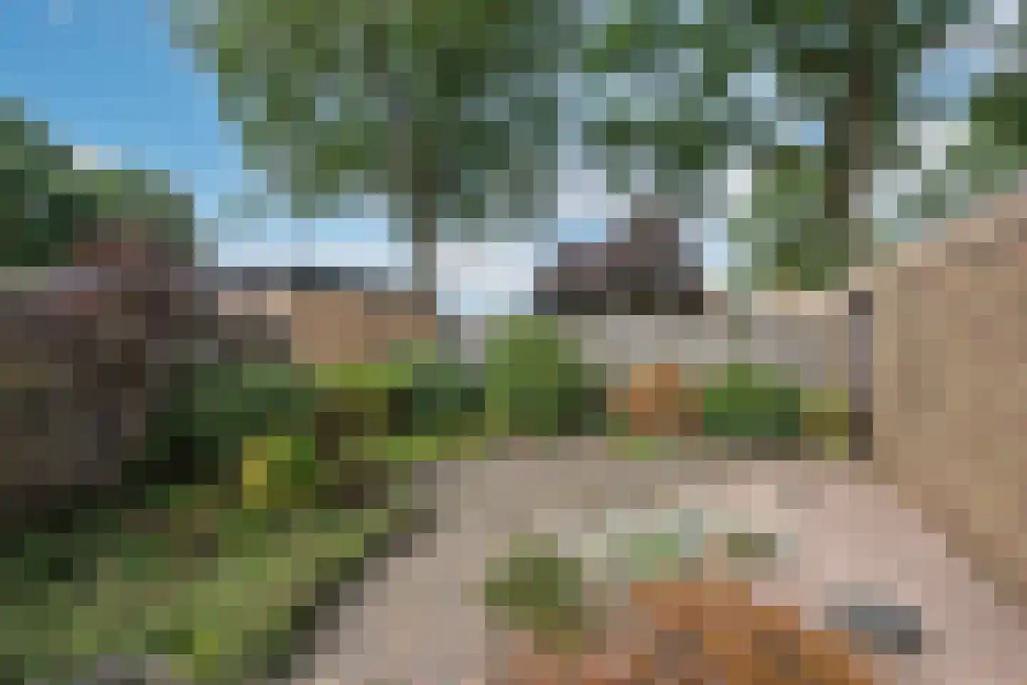 Roelf Bosmastraat 3 Rijssen thumbnail 4