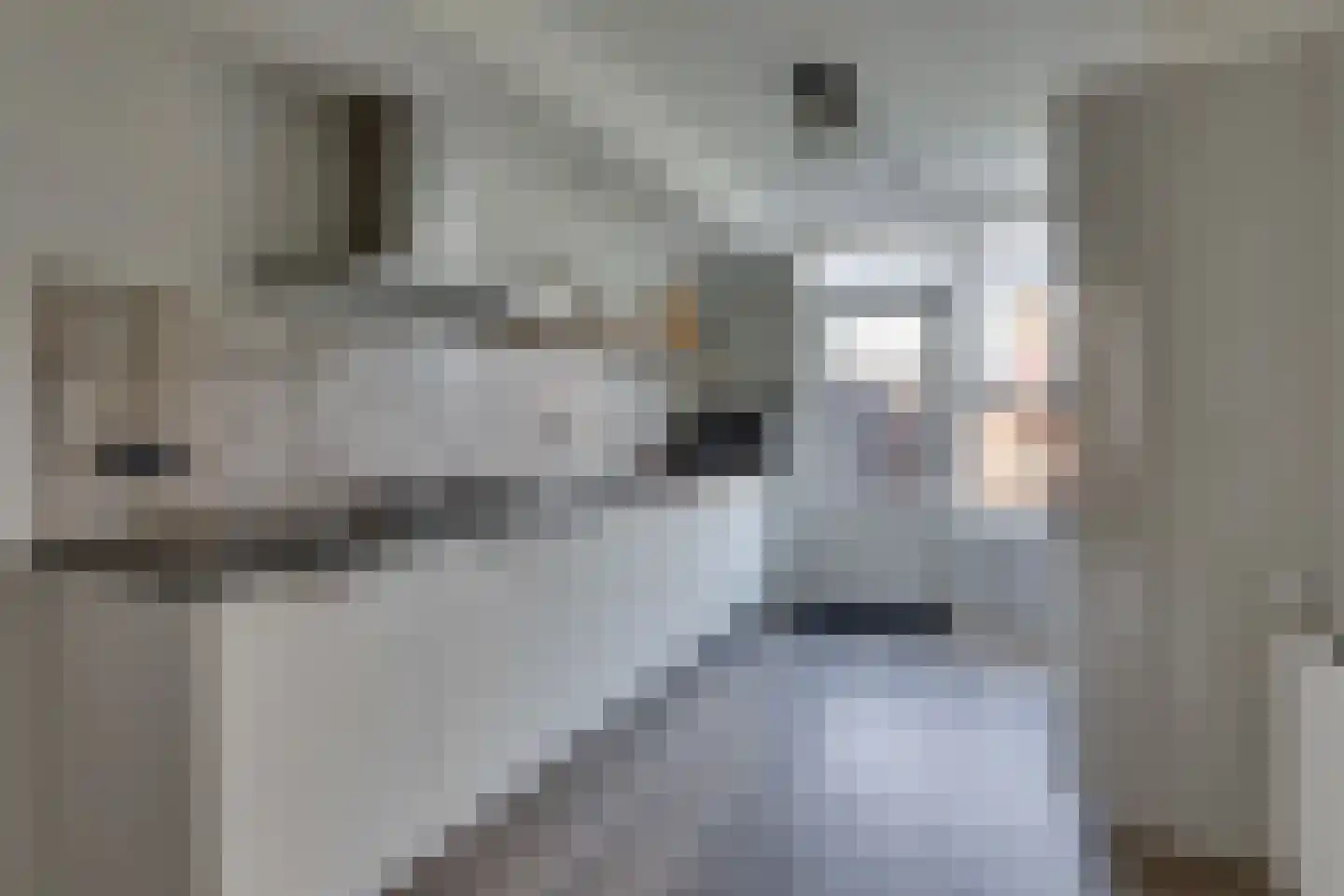 Roelf Bosmastraat 58 Rijssen thumbnail 13