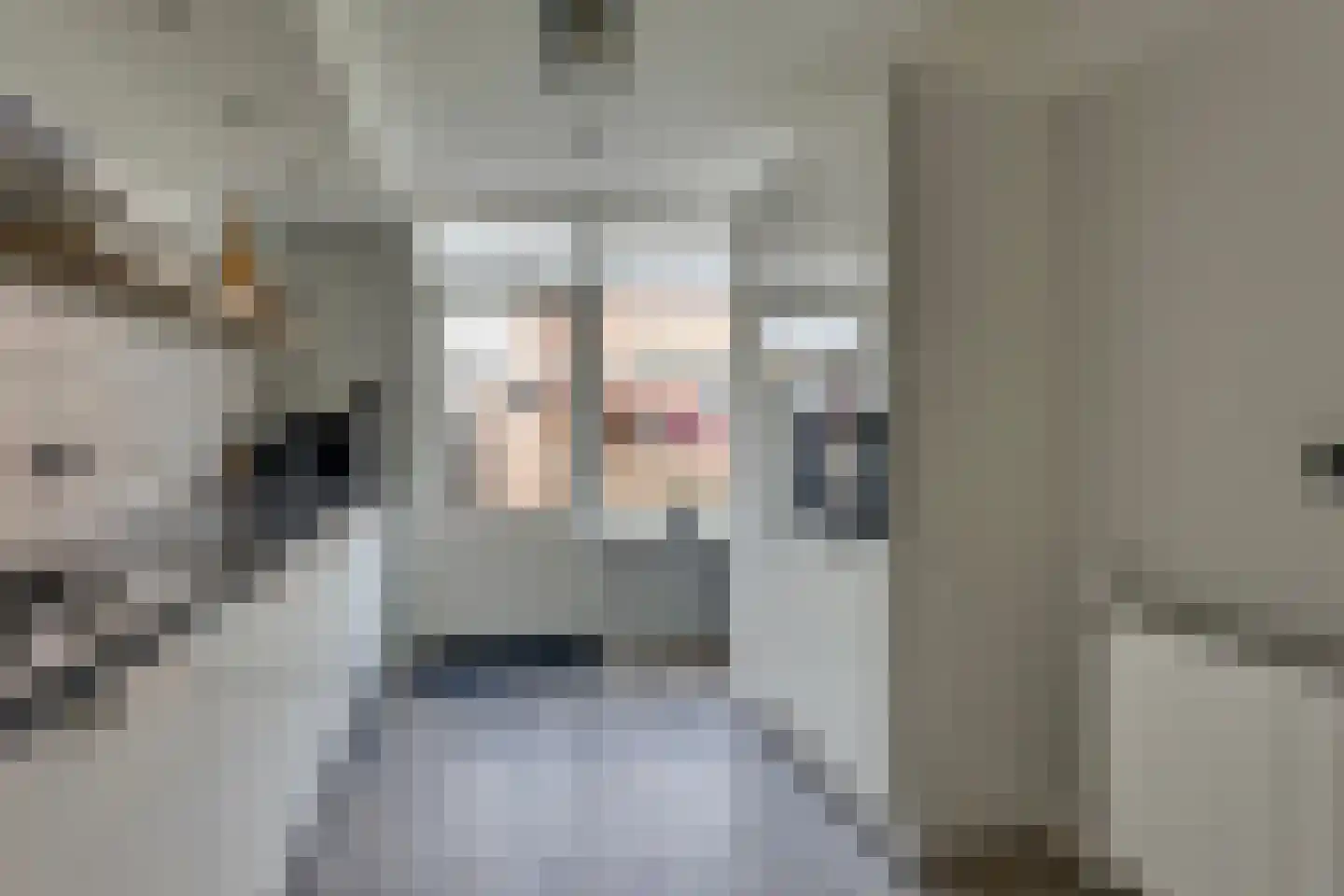 Roelf Bosmastraat 58 Rijssen thumbnail 14