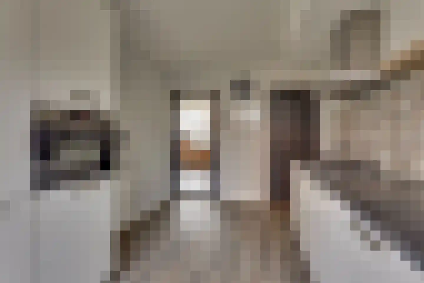 Roelf Bosmastraat 58 Rijssen thumbnail 15