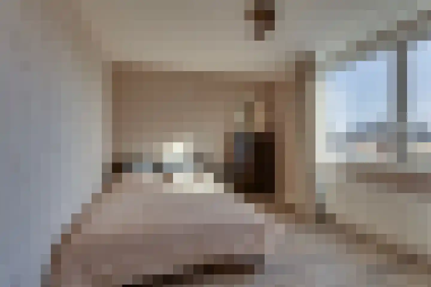 Roelf Bosmastraat 58 Rijssen thumbnail 18