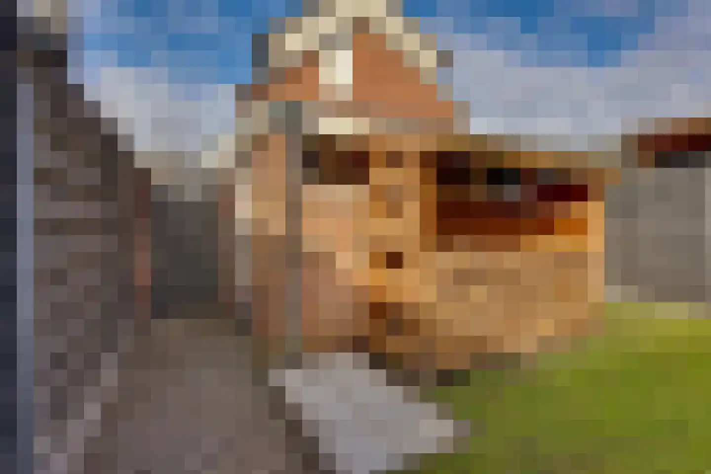 Roelf Bosmastraat 58 Rijssen thumbnail 32