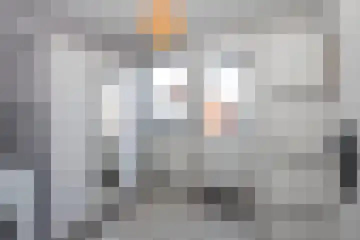Roelf Bosmastraat 86 Rijssen thumbnail 19