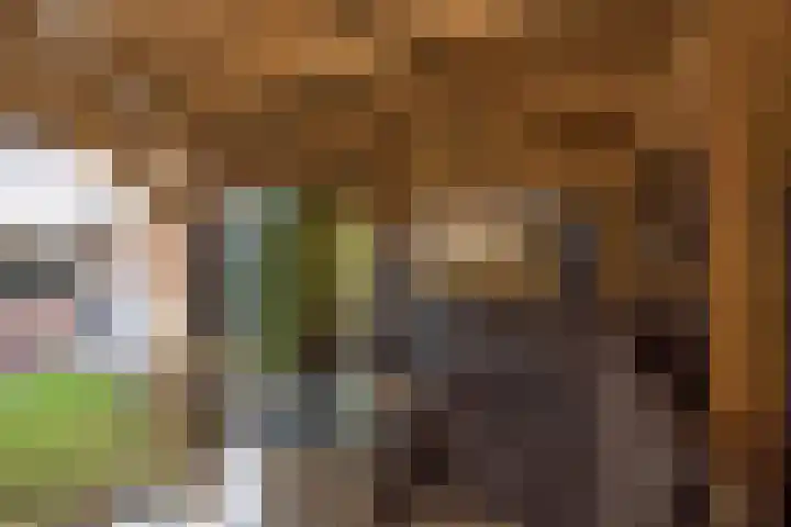 Roelf Bosmastraat 86 Rijssen thumbnail 25