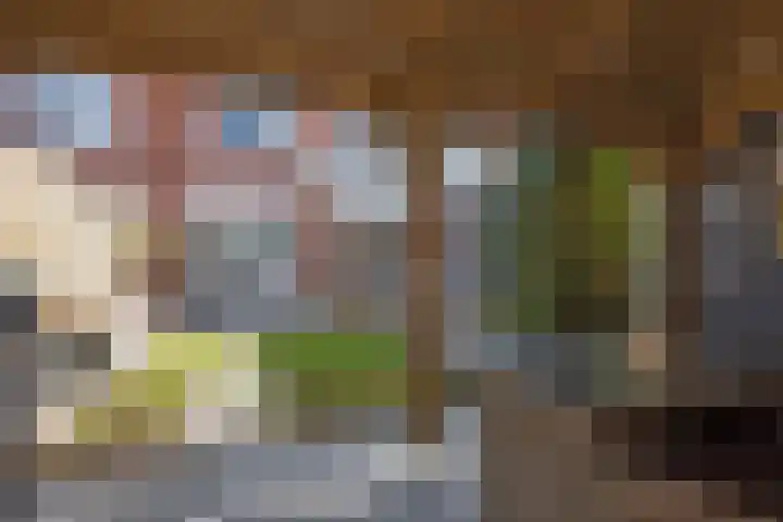 Roelf Bosmastraat 86 Rijssen thumbnail 26