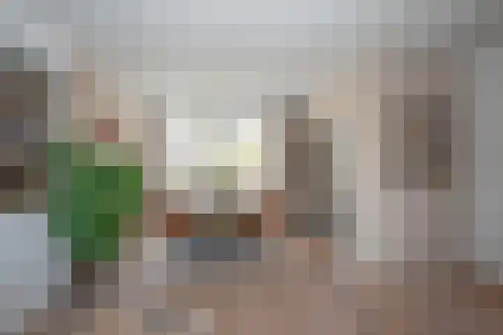 Roelf Bosmastraat 86 Rijssen thumbnail 7
