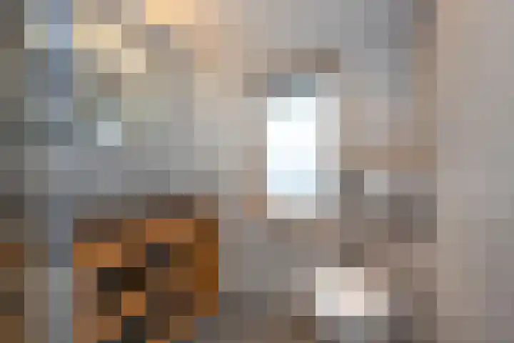 Roelf Bosmastraat 9 A Rijssen thumbnail 12