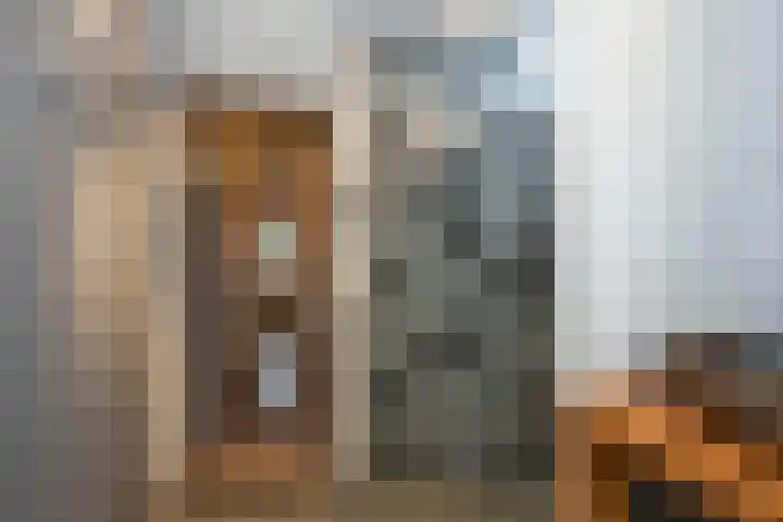 Roelf Bosmastraat 9 A Rijssen thumbnail 13