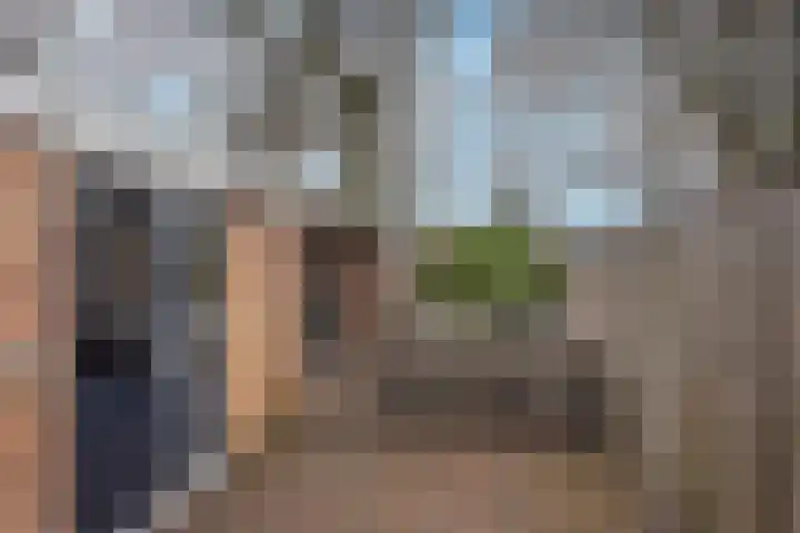 Roelf Bosmastraat 9 A Rijssen thumbnail 19