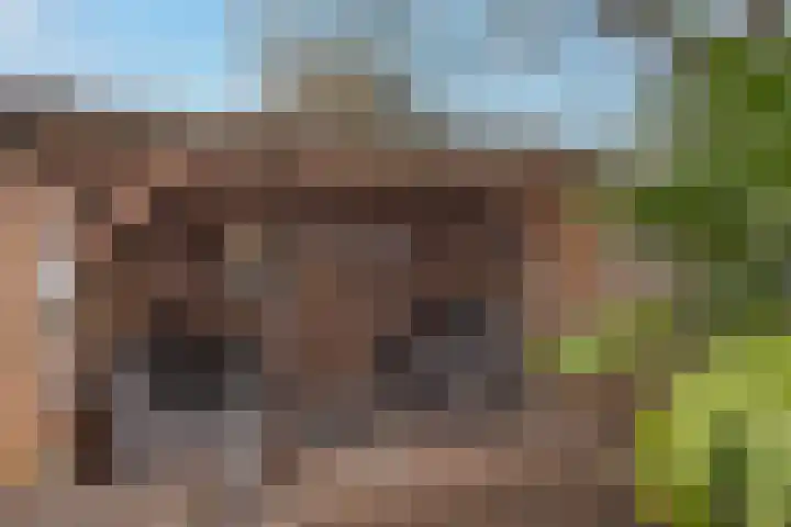 Roelf Bosmastraat 9 A Rijssen thumbnail 20
