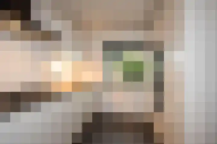 Roelf Bosmastraat 9 A Rijssen thumbnail 8