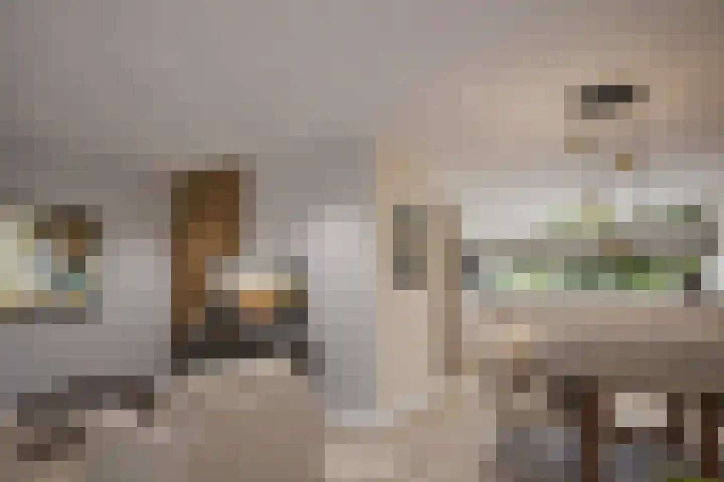 Roelf Bosmastraat 92 Rijssen thumbnail 13