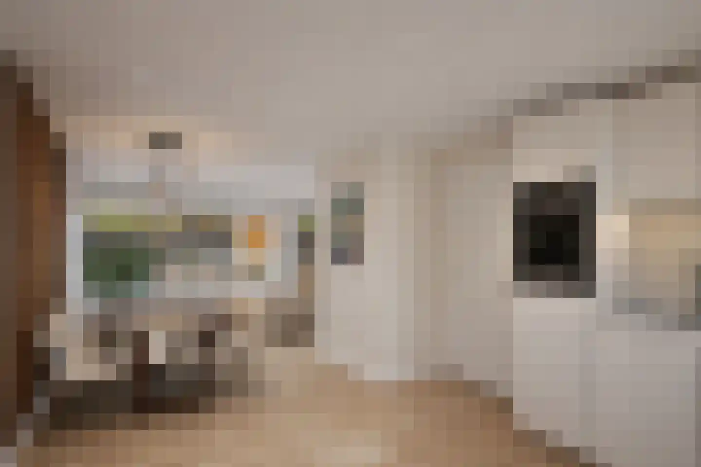 Roelf Bosmastraat 92 Rijssen thumbnail 16