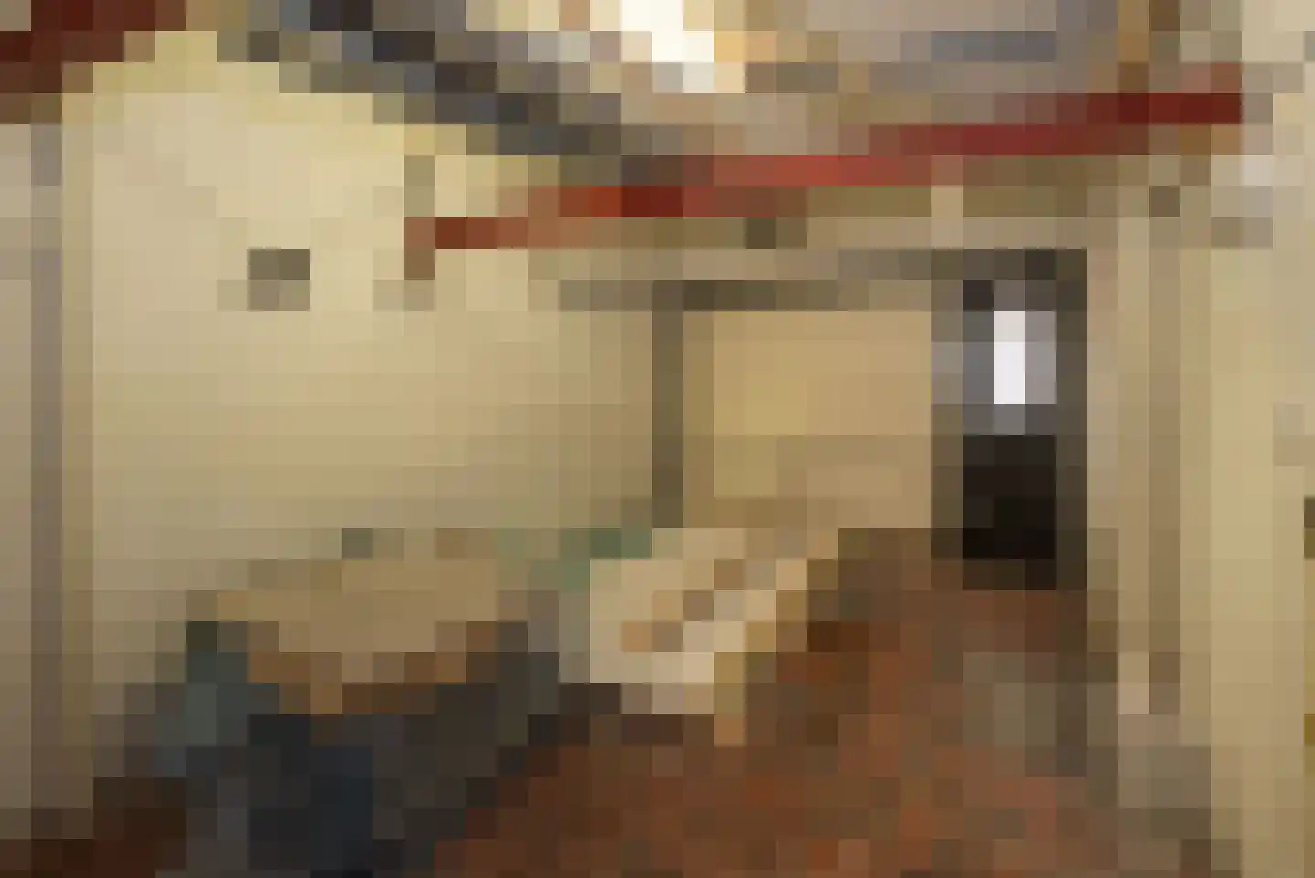 Roelf Bosmastraat 92 Rijssen thumbnail 17