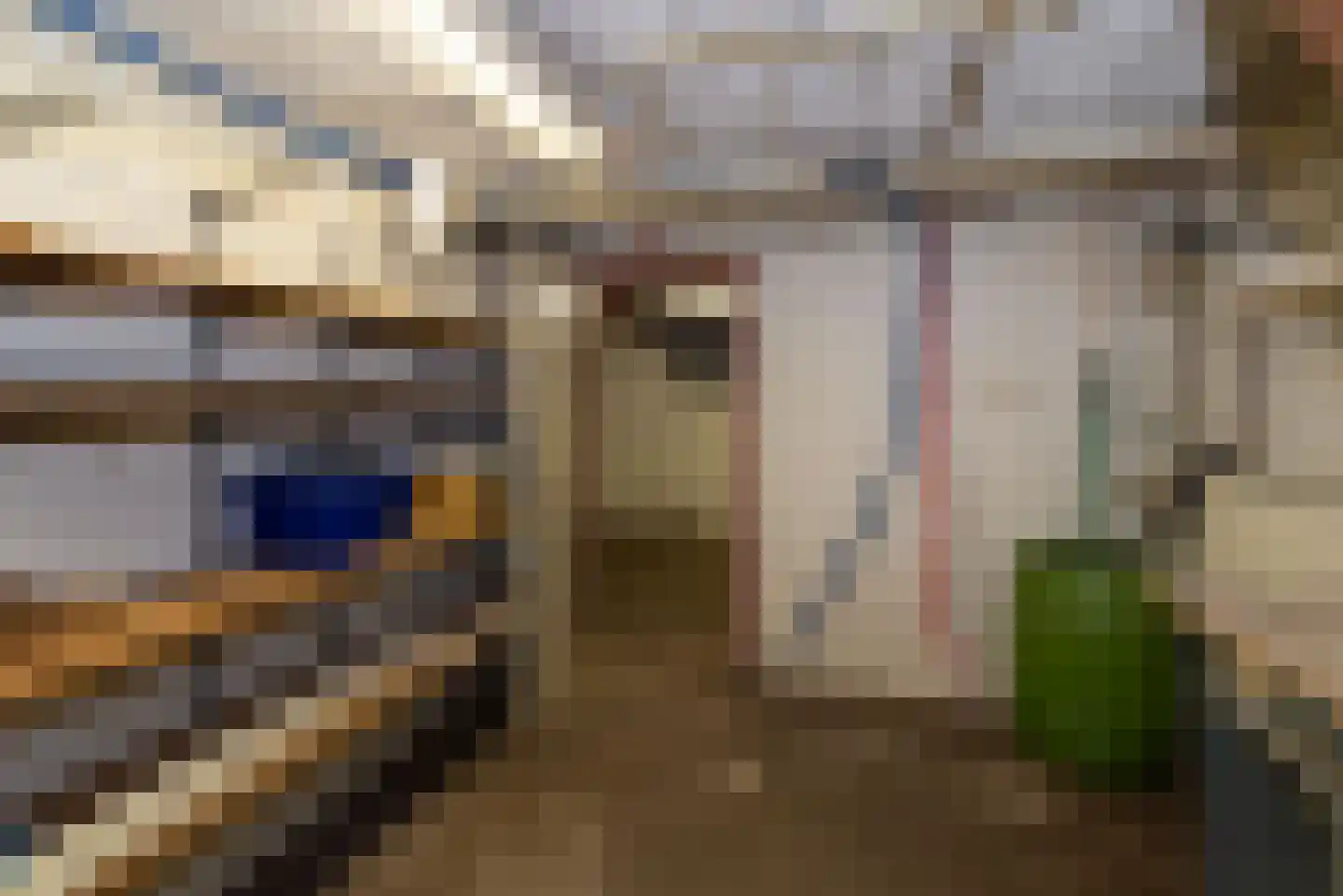 Roelf Bosmastraat 92 Rijssen thumbnail 20