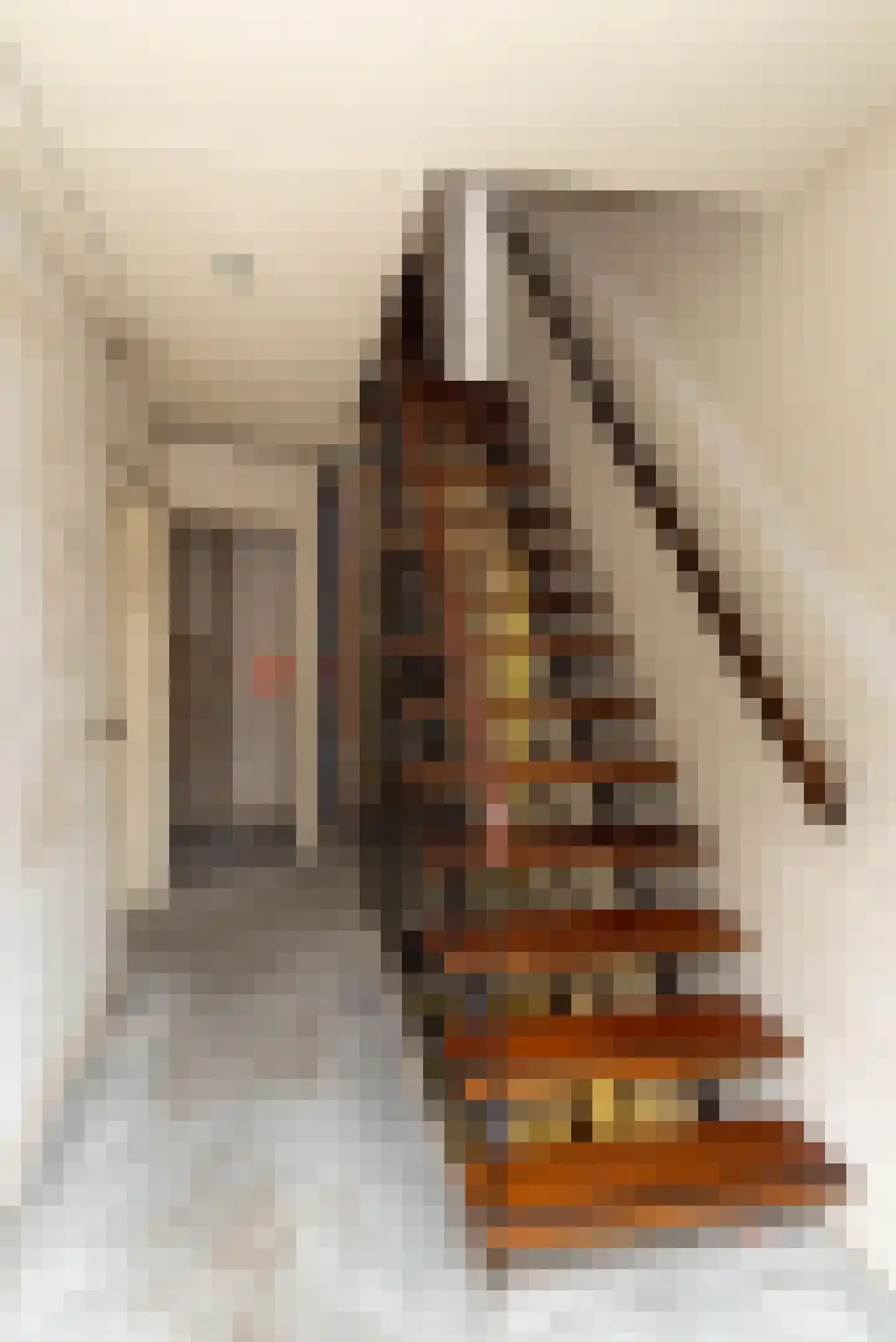 Roelf Bosmastraat 92 Rijssen thumbnail 24