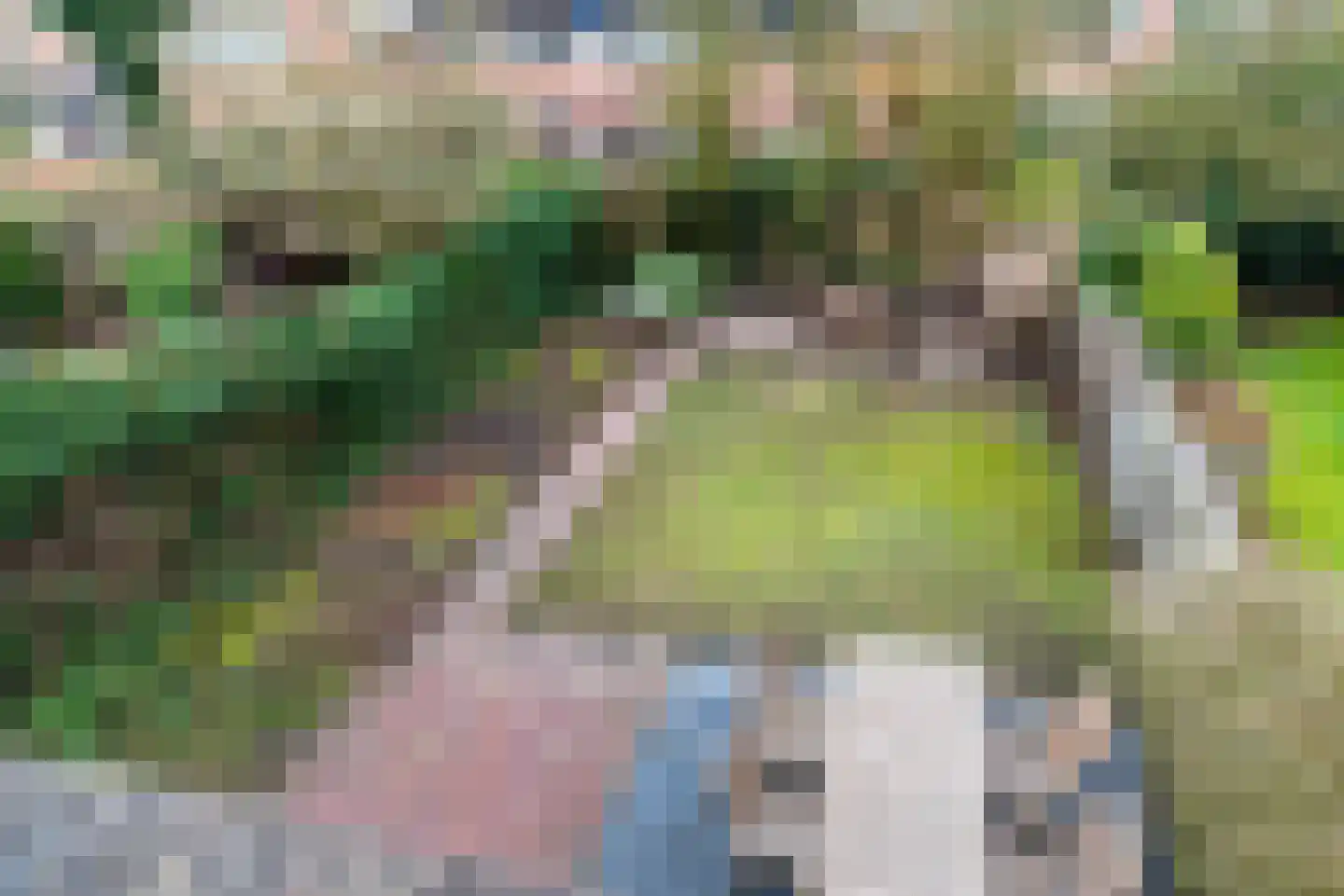 Roelf Bosmastraat 92 Rijssen thumbnail 31