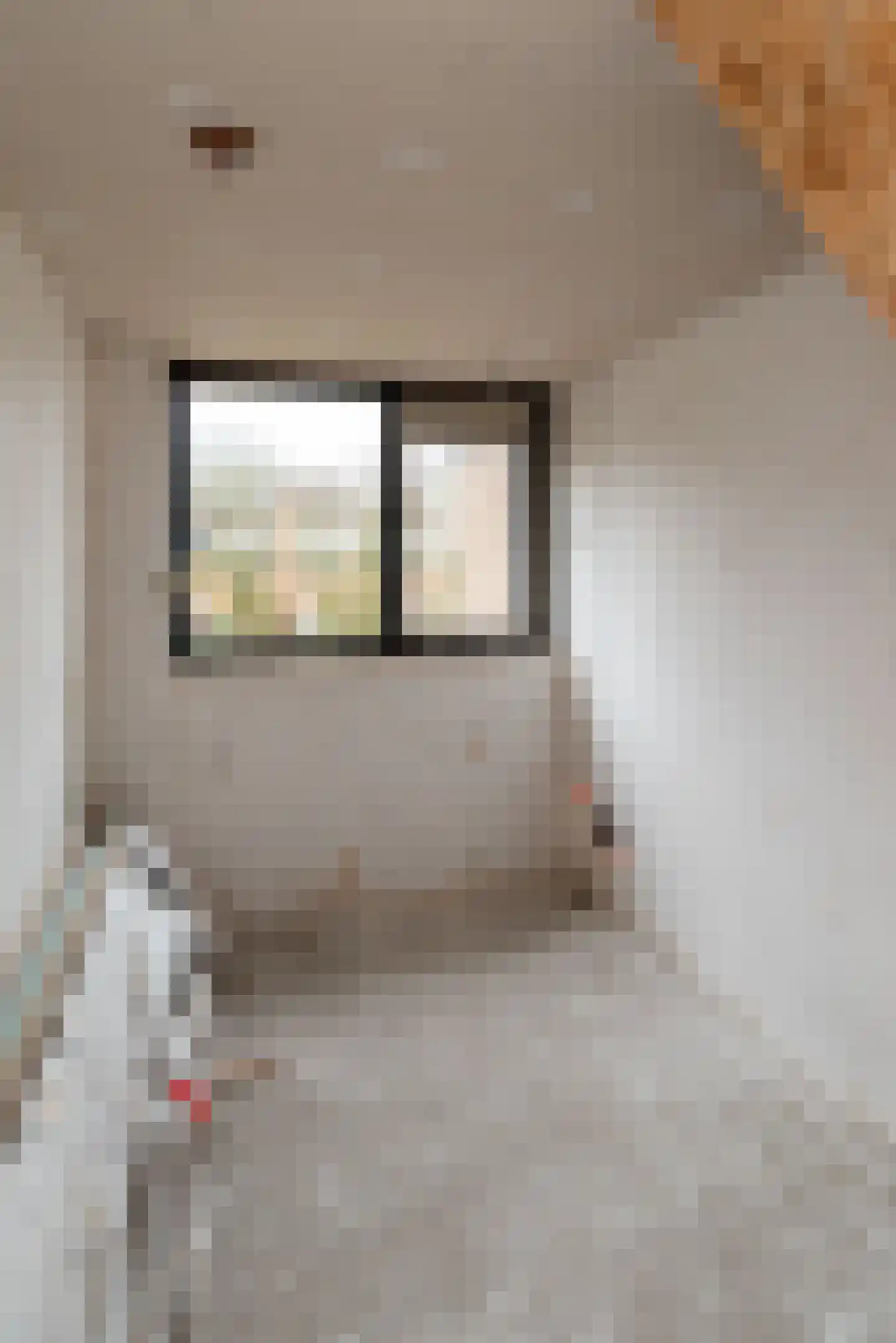 Roelf Bosmastraat 92 Rijssen thumbnail 38