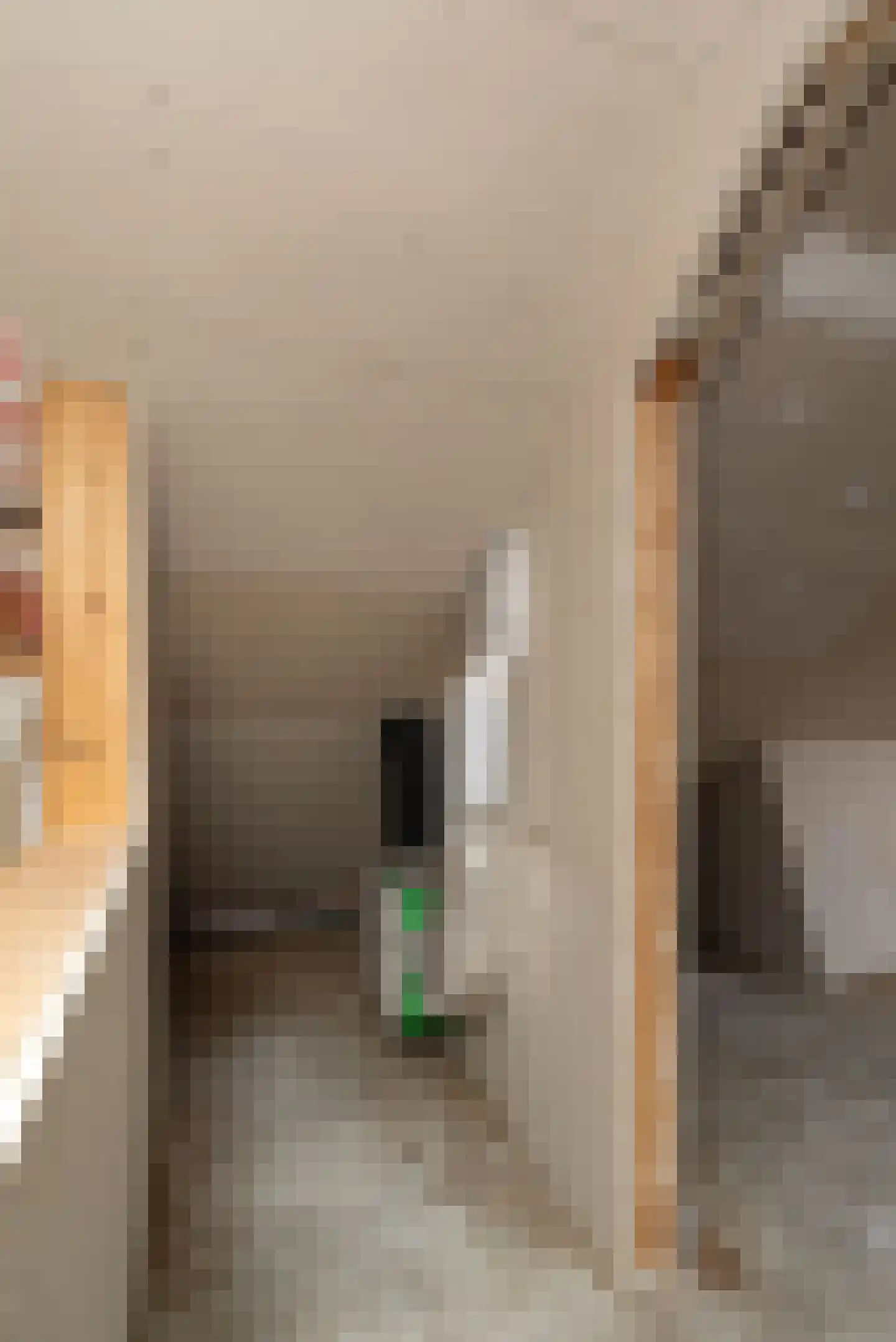 Roelf Bosmastraat 92 Rijssen thumbnail 40