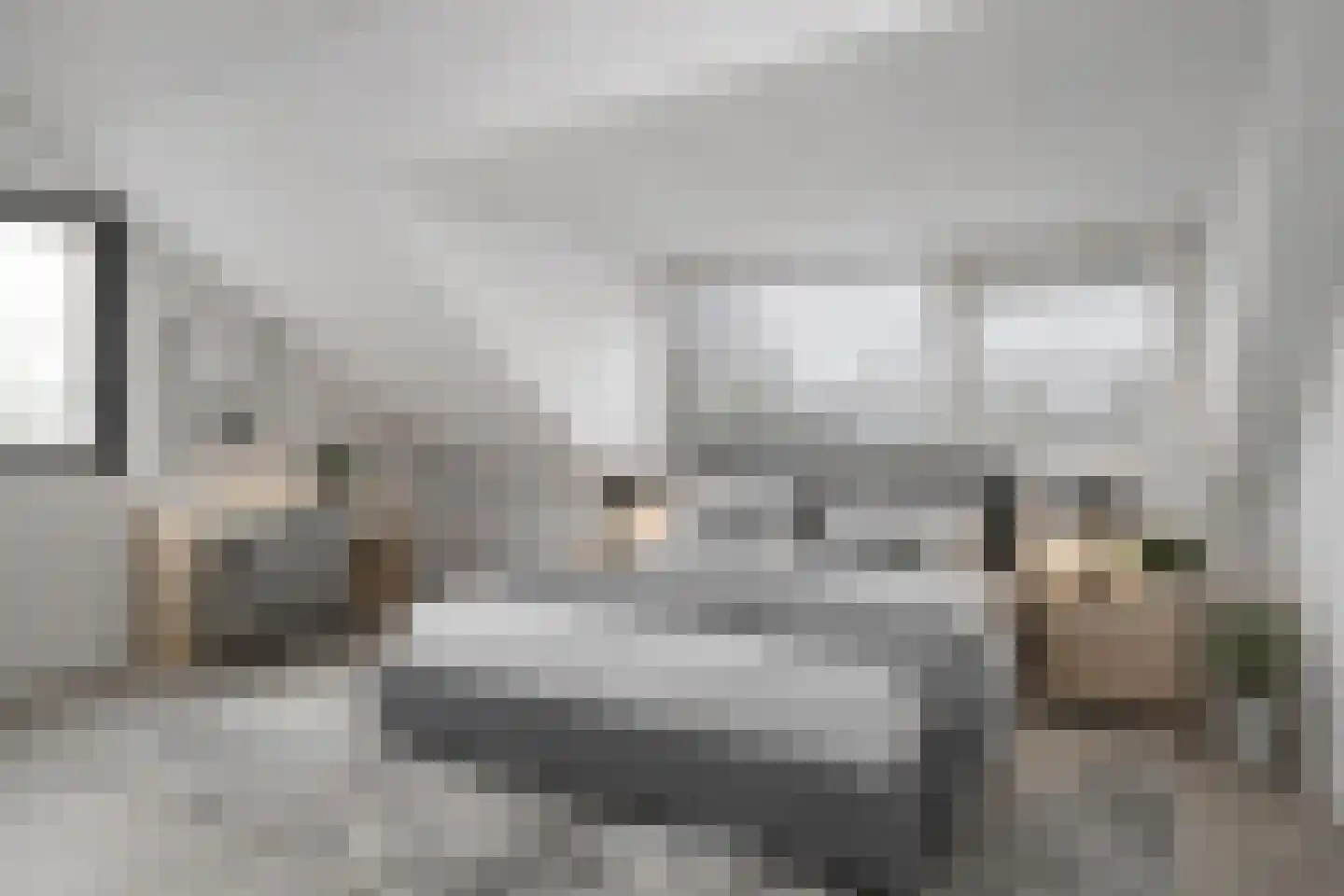 Roelf Bosmastraat 92 Rijssen thumbnail 42