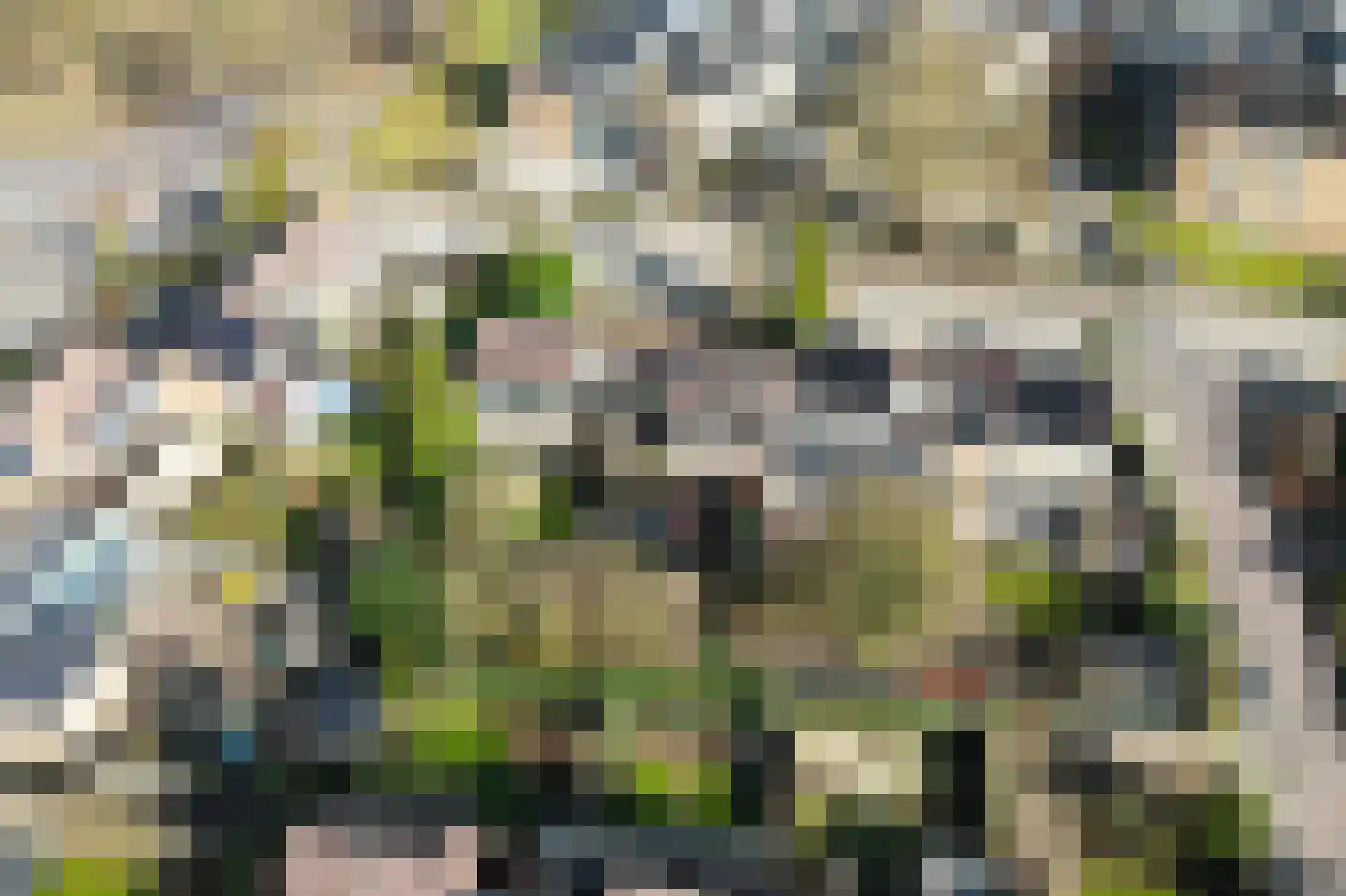 Roelf Bosmastraat 92 Rijssen thumbnail 7
