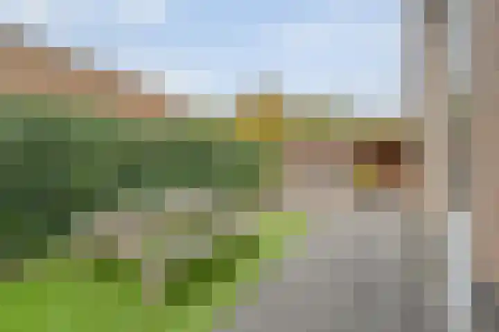 Roelie Duinkerkenstraat 30 Coevorden thumbnail 29