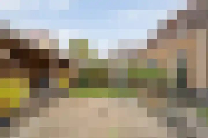 Roelie Duinkerkenstraat 30 Coevorden thumbnail 32