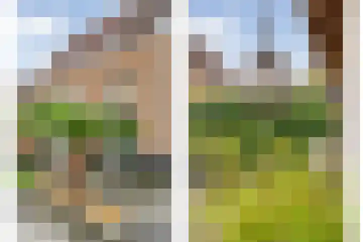 Roelie Duinkerkenstraat 30 Coevorden thumbnail 33