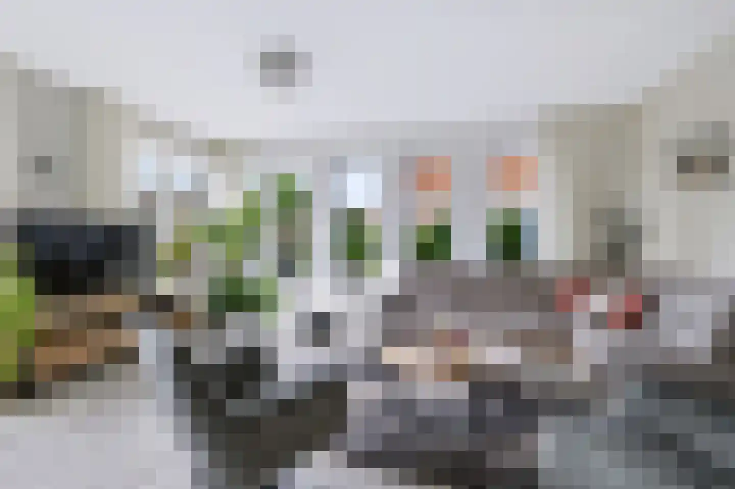 Roelie Duinkerkenstraat 7 Coevorden thumbnail 11