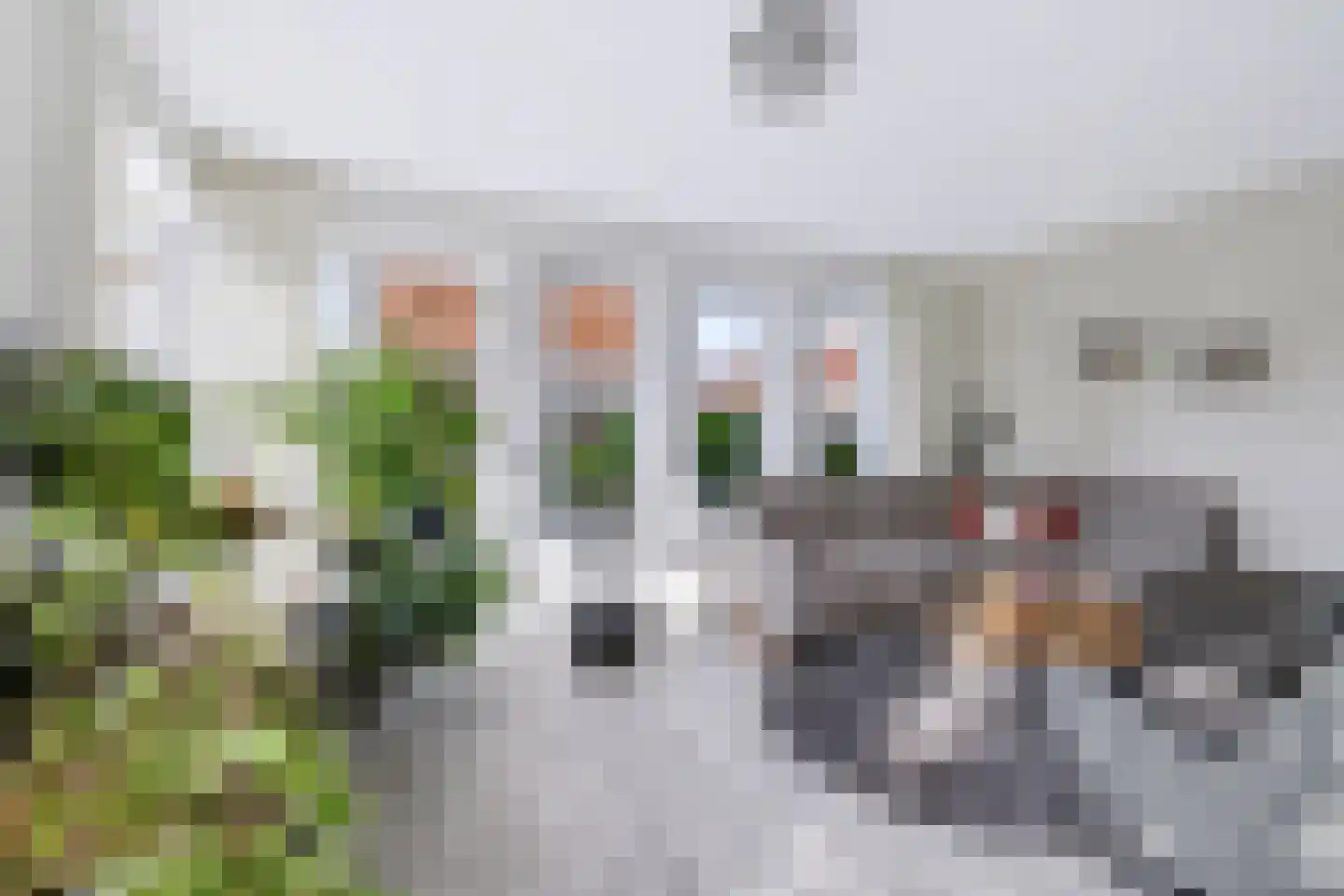 Roelie Duinkerkenstraat 7 Coevorden thumbnail 12