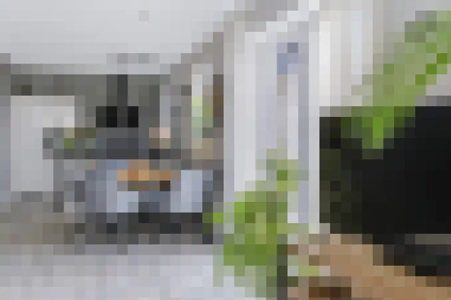 Roelie Duinkerkenstraat 7 Coevorden thumbnail 16