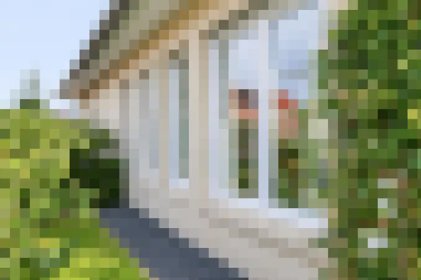 Roelie Duinkerkenstraat 7 Coevorden thumbnail 42