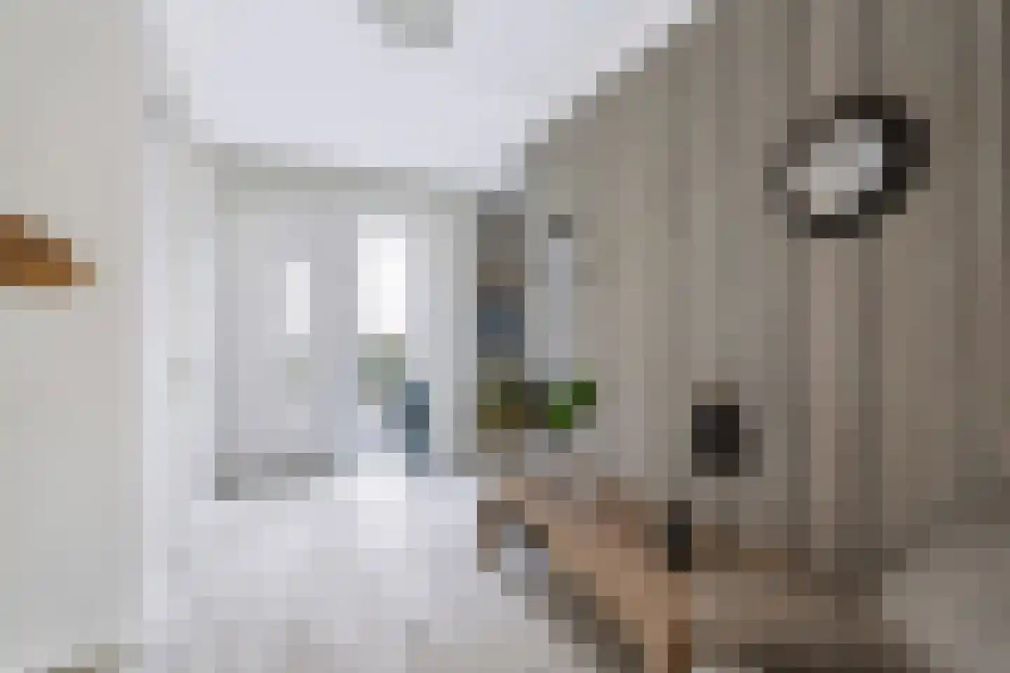 Roelie Duinkerkenstraat 7 Coevorden thumbnail 6