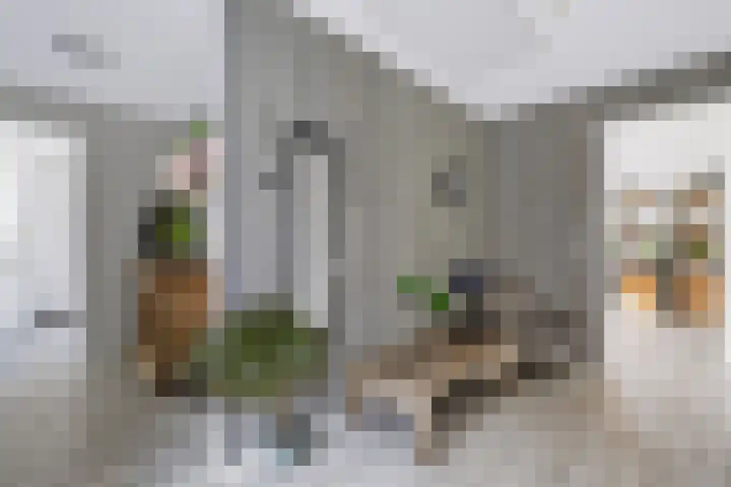 Roelie Duinkerkenstraat 7 Coevorden thumbnail 9