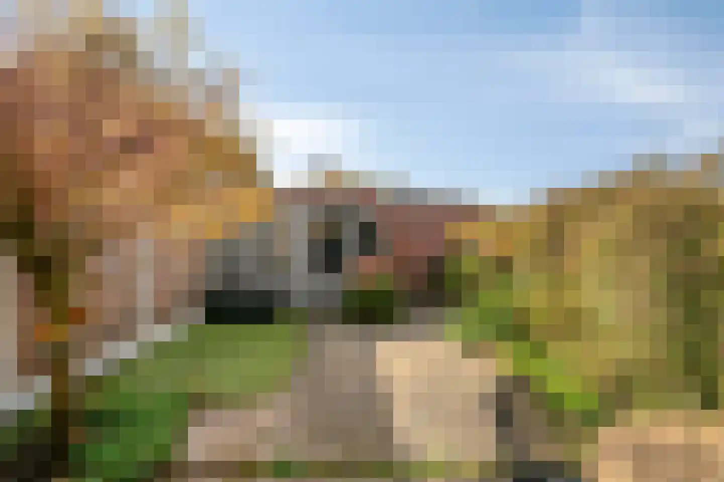 Roelingsbeek 13 Zwolle thumbnail 35