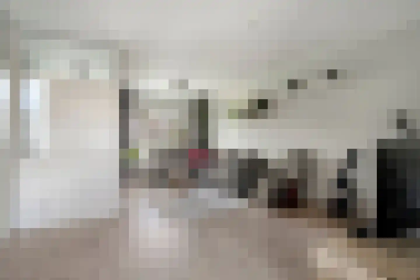Roelingsbeek 13 Zwolle thumbnail 8