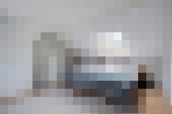 Roelingsbeek 45 Zwolle thumbnail 31