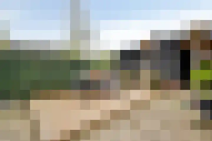Roelingsbeek 45 Zwolle thumbnail 35