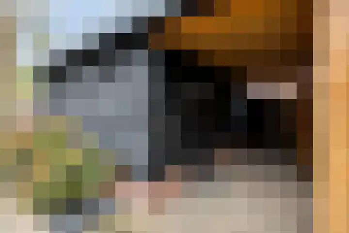 Roelingsbeek 45 Zwolle thumbnail 36