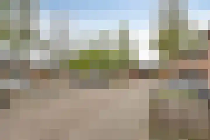 Roelingsbeek 45 Zwolle thumbnail 38