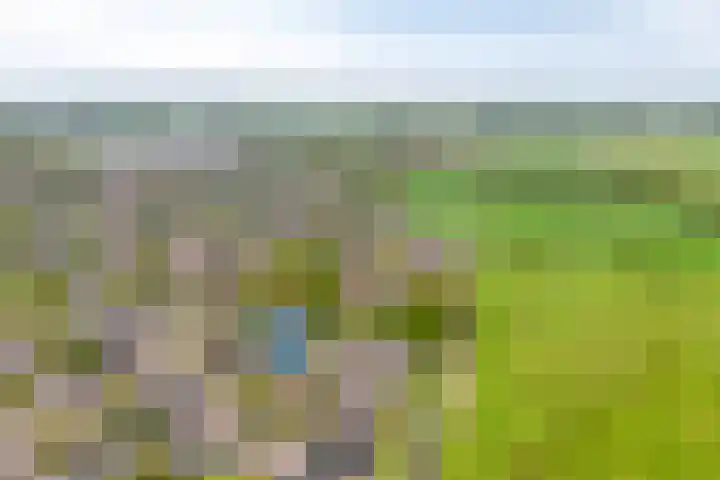 Roelingsbeek 45 Zwolle thumbnail 39