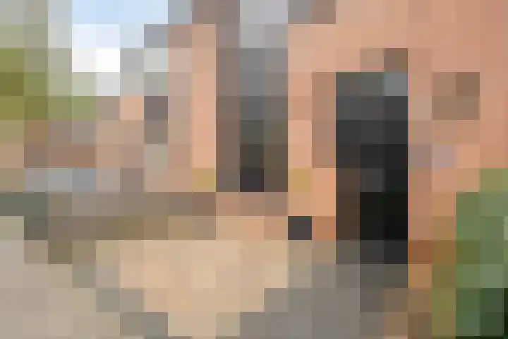 Roelingsbeek 45 Zwolle thumbnail 4