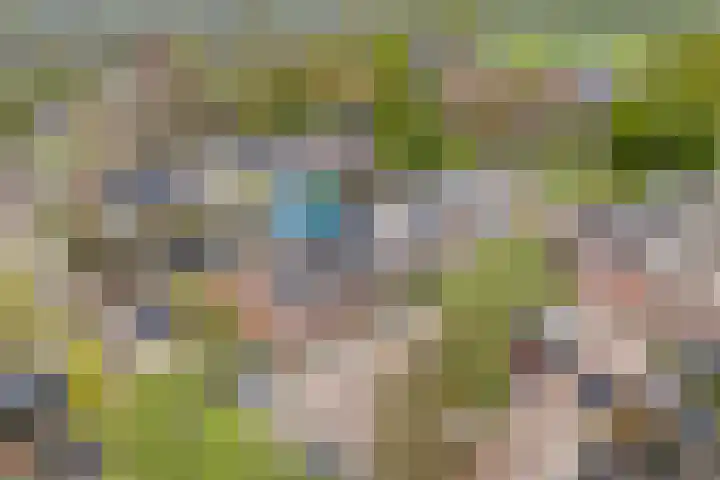 Roelingsbeek 45 Zwolle thumbnail 5