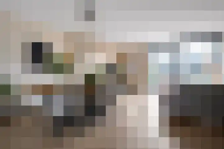 Roelingsbeek 45 Zwolle thumbnail 8
