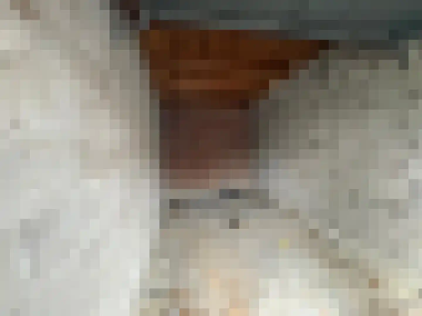 Roelof Bootstraat 37 G52 Edam thumbnail 4