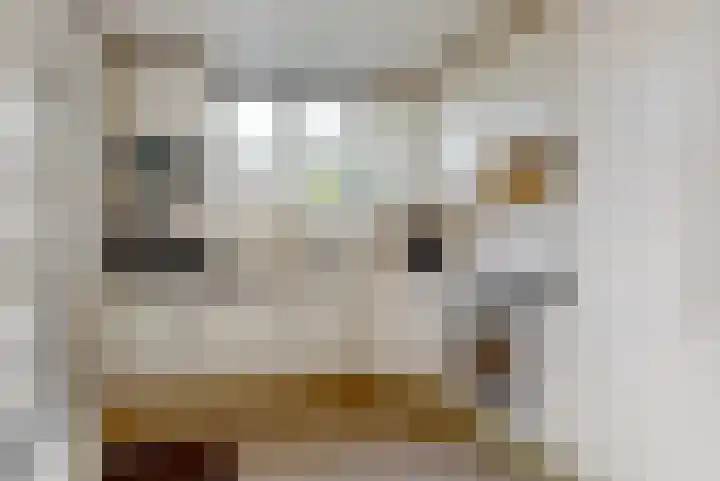 Roelof Bootstraat 6 Edam thumbnail 12