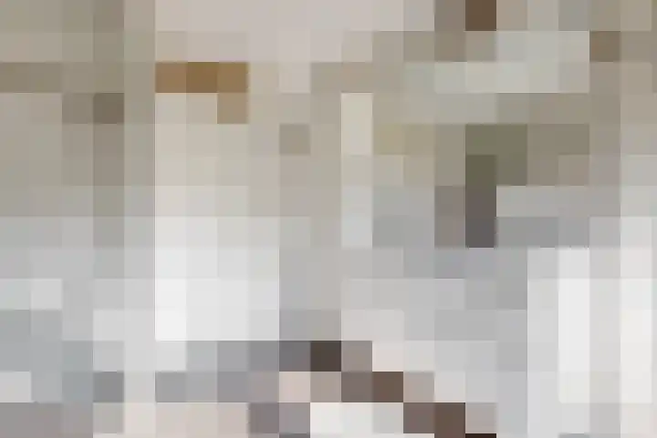 Roelof Bootstraat 6 Edam thumbnail 20