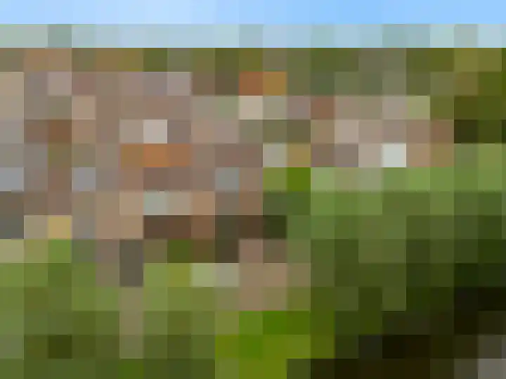 Roelof Bootstraat 6 Edam thumbnail 31